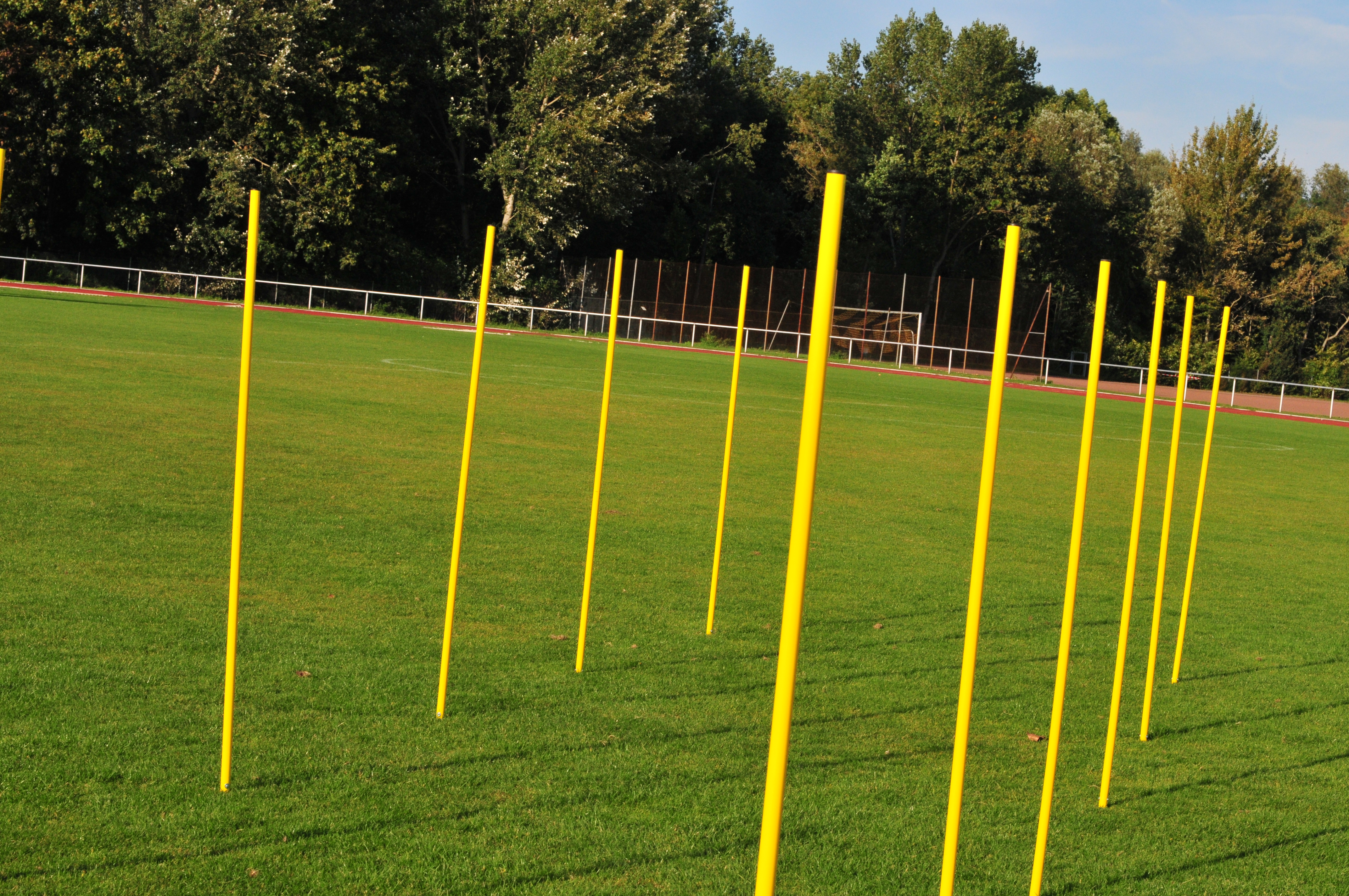 Slalomstangen mit Spikes in robuster Tragetasche - 12 Stück - Fußball